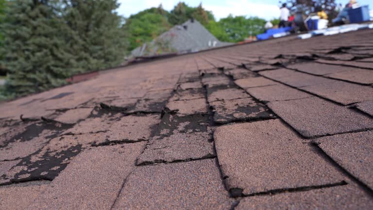 Best Roof Insulation Installation  in Beechwood Trails, OH